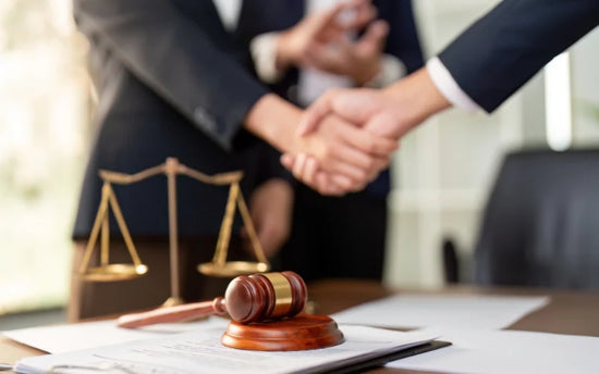 Avoiding Article 82 Damages New Litigation Risks for German Firms