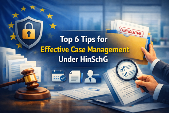 Top 6 Tips for Effective Case Management Under HinSchG