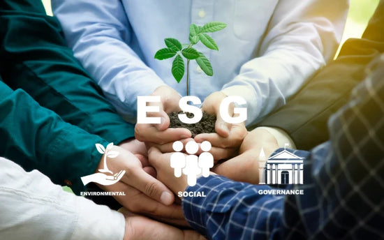 From Compliance to Impact: ESG for German Firms 2026
