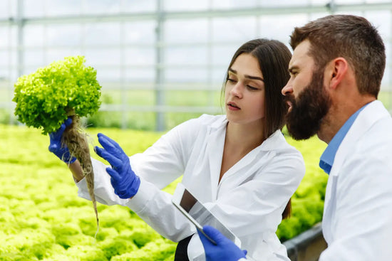 Top Benefits of HACCP Training for Food Pros