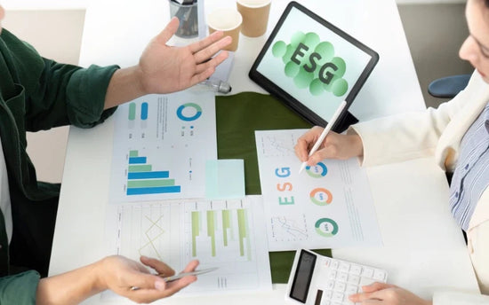 Top 5 ESG Trends Shaping German Businesses in 2026
