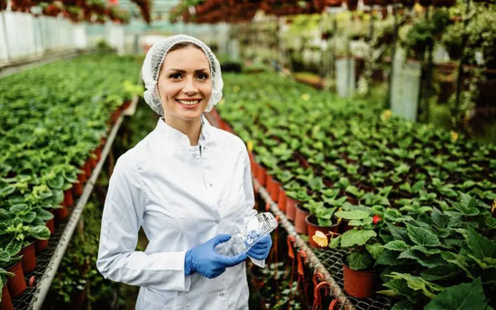 Why HACCP Certification Boosts Your Career in Germany’s Food Industry
