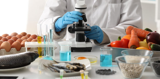 Biological, Chemical and Physical Food Hazards Explained