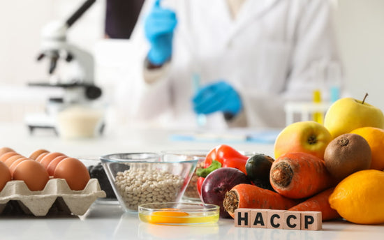 HACCP Training Germany 2026 Complete Guide