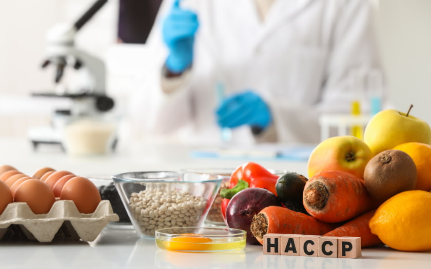 HACCP Training Germany 2026 Complete Guide