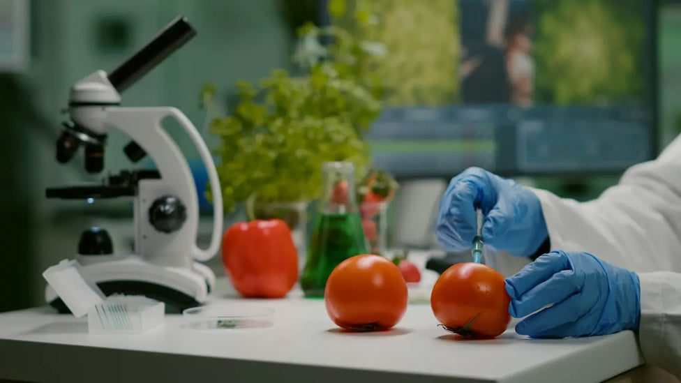 How Sustainability Is Changing Food Safety Practices