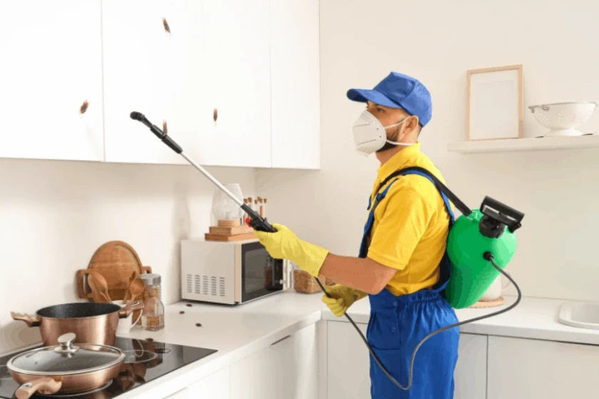 How to Prevent Pest Contamination in Food Premises
