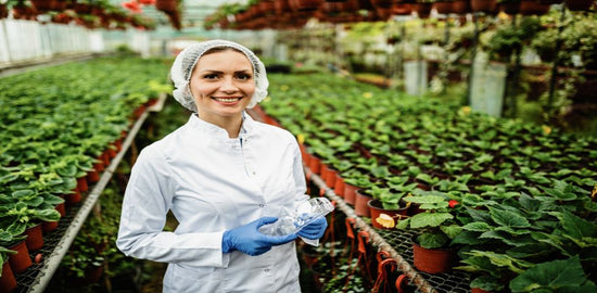 Why HACCP Certification Boosts Your Career in Germany’s Food Industry