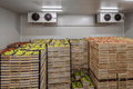 Safe Food Storage Temperatures