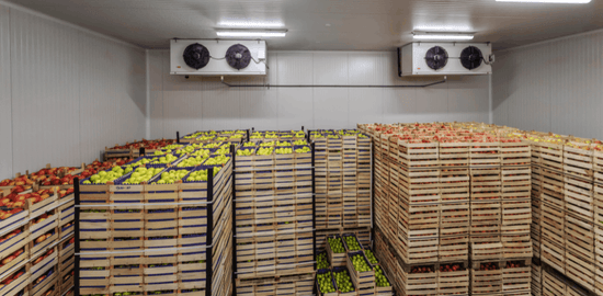 Safe Food Storage Temperatures