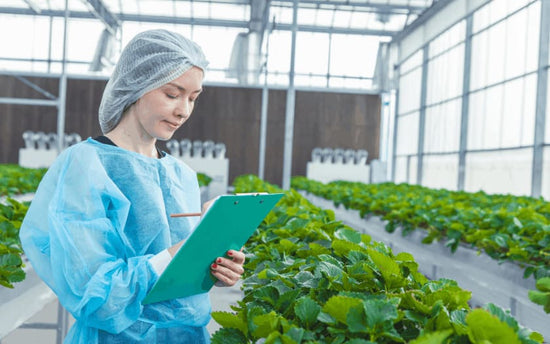The Farm-to-Fork Food Safety System Explained