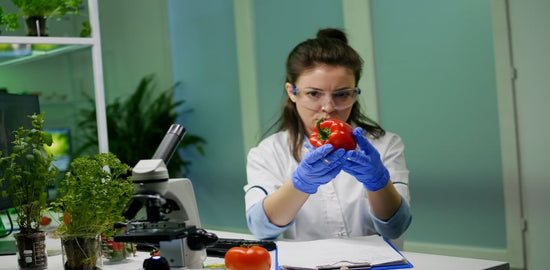 Common HACCP Implementation Mistakes and How to Avoid Them
