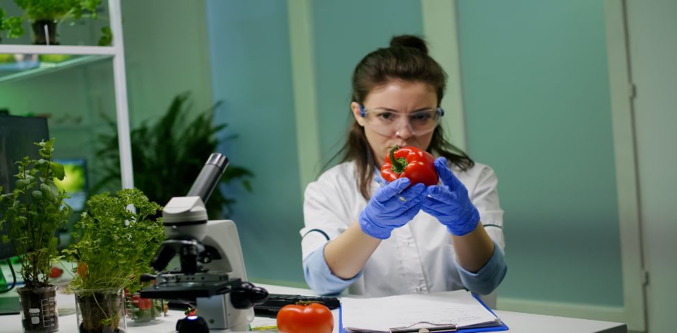 Häufige Fehler bei der HACCP-Implementierung und wie man sie vermeidet