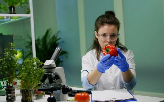 Common HACCP Implementation Mistakes and How to Avoid Them