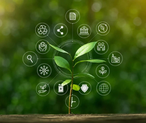 ESG, LkSG & Sustainability Compliance