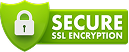 Secure SSL encryption badge icon with padlock.