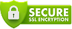 Secure SSL encryption badge icon with padlock.